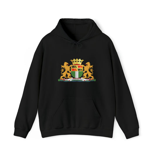 Hoodie relax zwart - Wapen van Rotterdam - logo voor groot